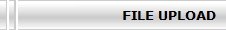 FILE UPLOAD